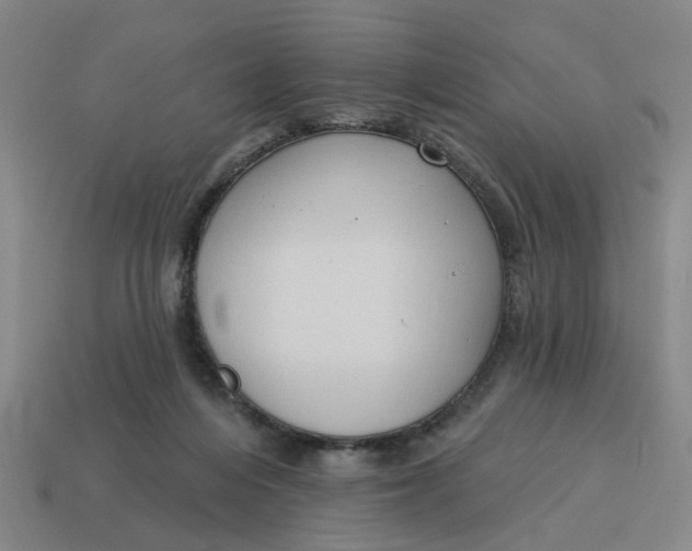 X0000114440216200911061710