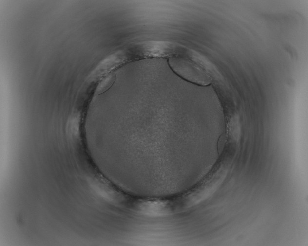 X0000114440217200911061710