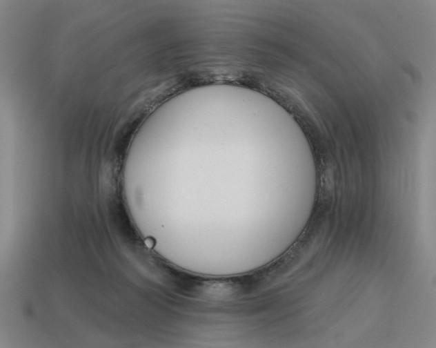 X0000114440218200911061710