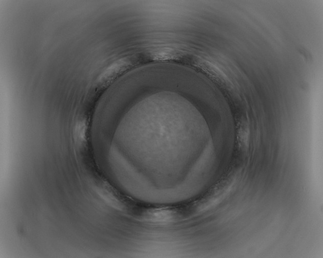 X0000114440219200911061710