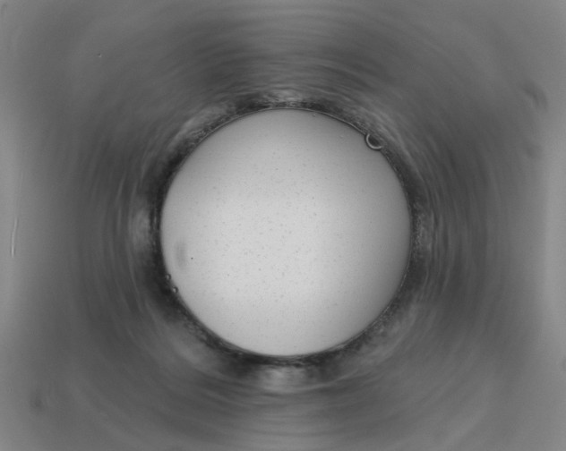 X0000114440220200911061710