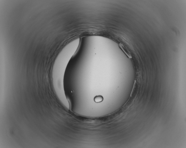 X0000114440221200911061710