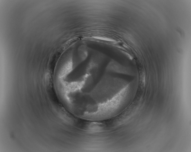 X0000114440222200911061710