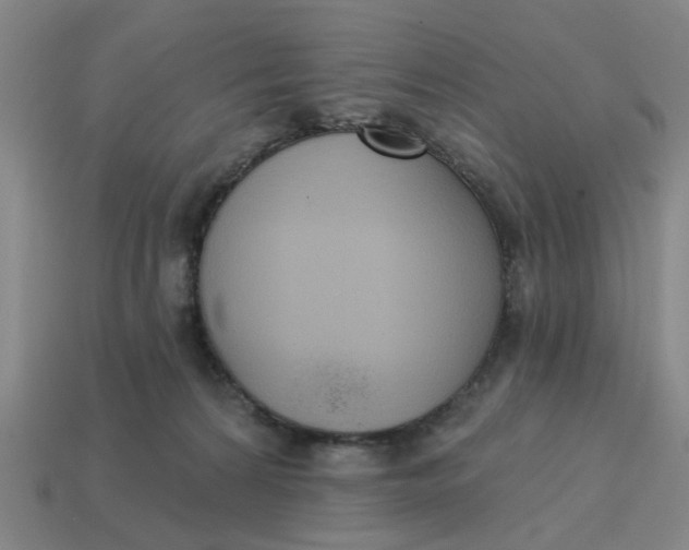 X0000114440224200911061710