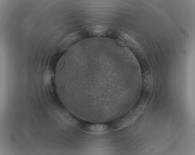 X0000114440225200911061710