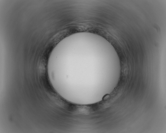 X0000114440226200911061710