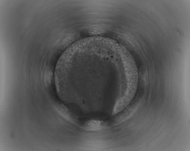 X0000114440227200911061710