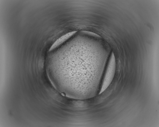 X0000114440230200911061710