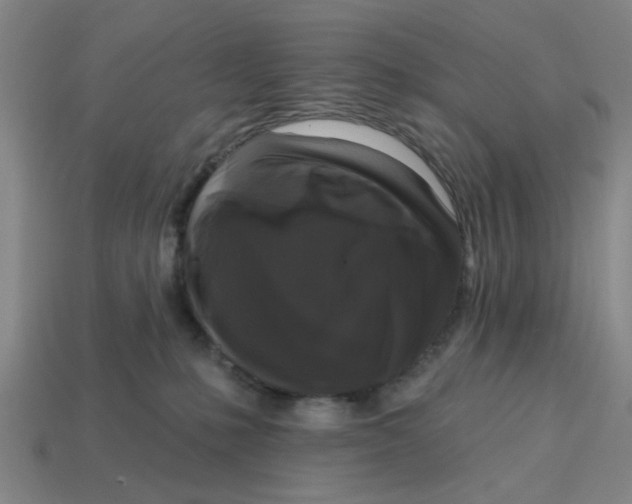 X0000114440231200911061710