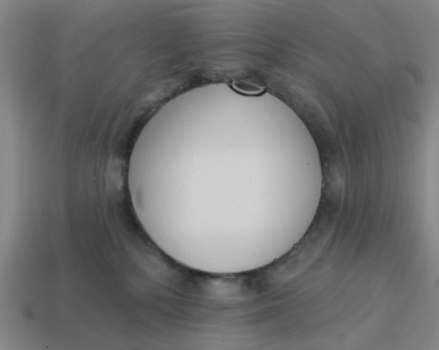 X0000114440232200911061710