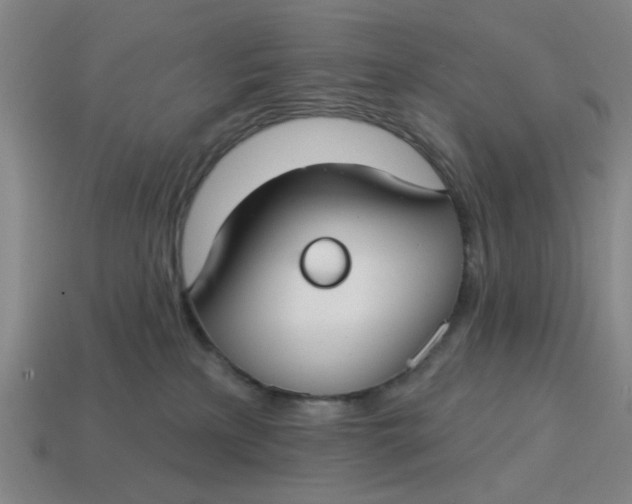 X0000114440233200911061710