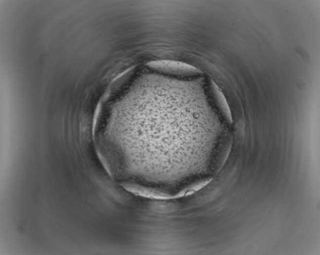 X0000114440234200911061710