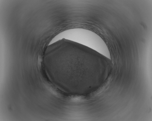 X0000114440235200911061710