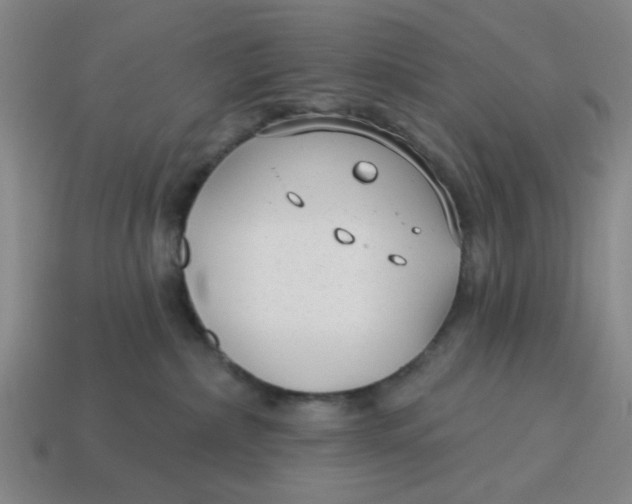 X0000114440236200911061710