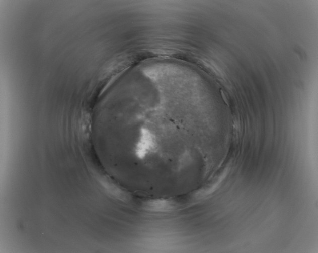 X0000114440237200911061710