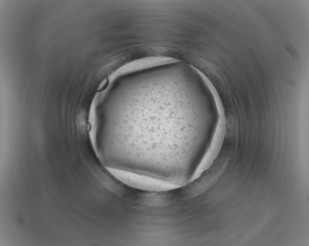 X0000114440238200911061710