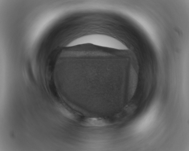 X0000114440239200911061710