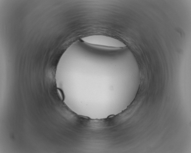 X0000114440240200911061710