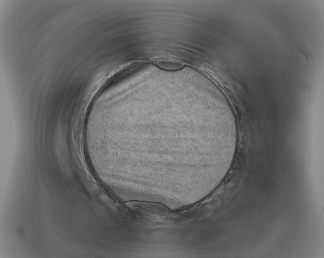 X0000114440241200911061709