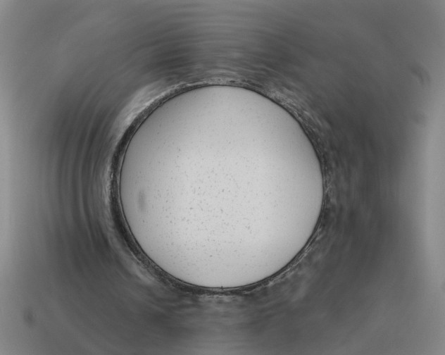 X0000114440242200911061710