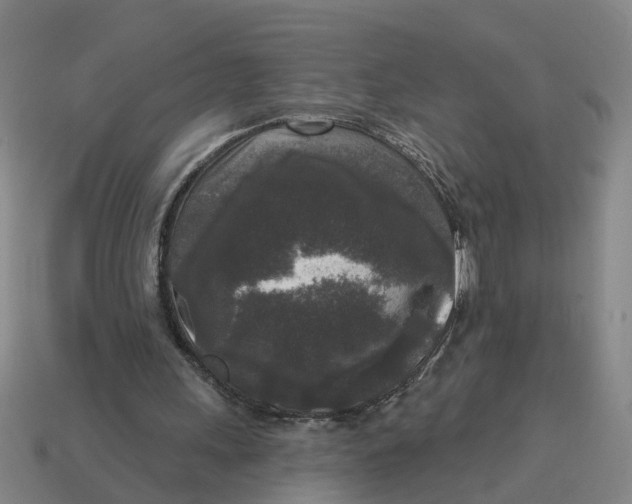 X0000114440243200911061710