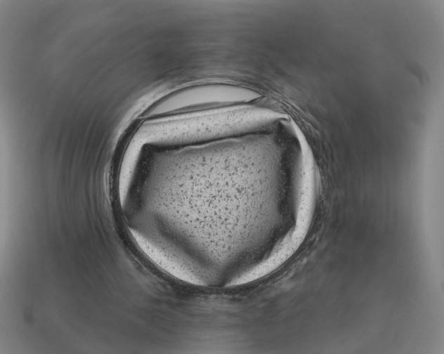 X0000114440244200911061710