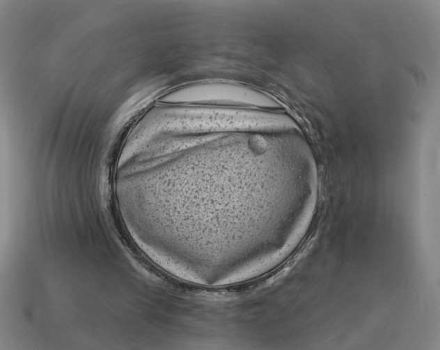 X0000114440245200911061710