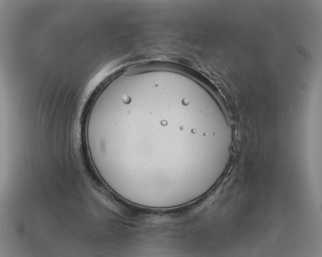 X0000114440246200911061710