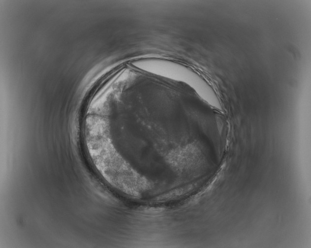 X0000114440247200911061710