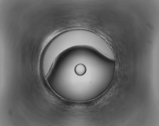 X0000114440248200911061710