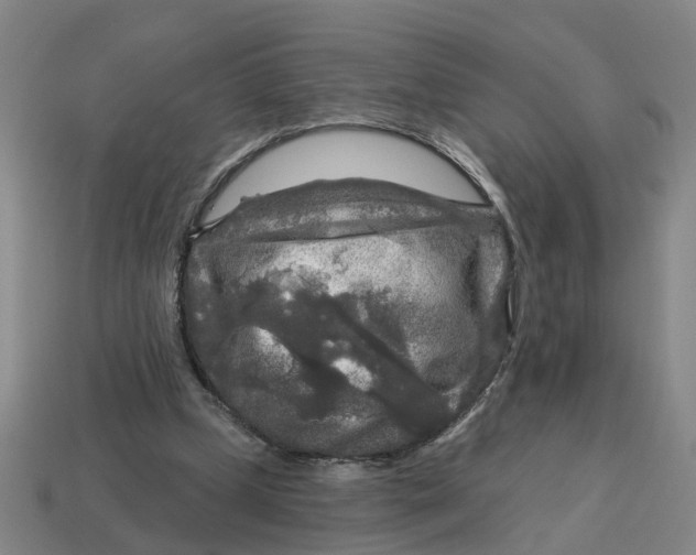 X0000114440249200911061710