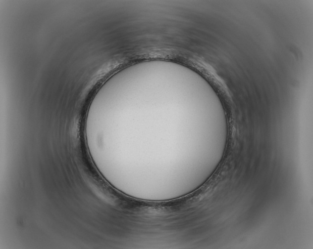 X0000114440250200911061710