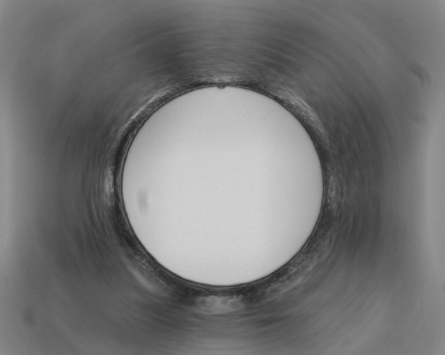 X0000114440251200911061710