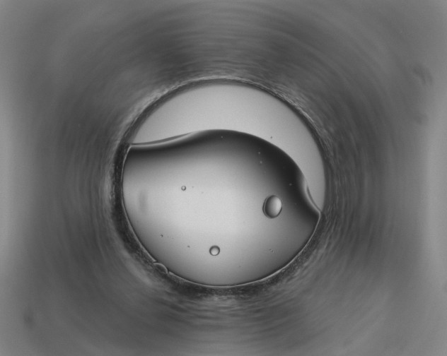 X0000114440252200911061710