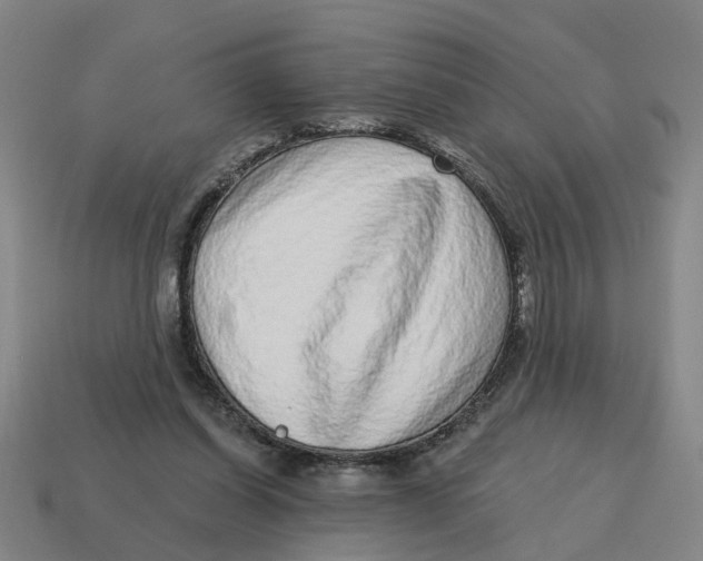 X0000114440254200911061710