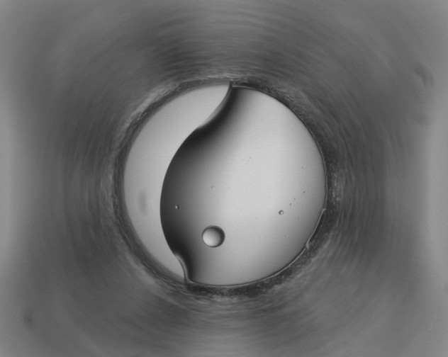 X0000114440256200911061710