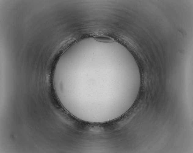 X0000114440258200911061710