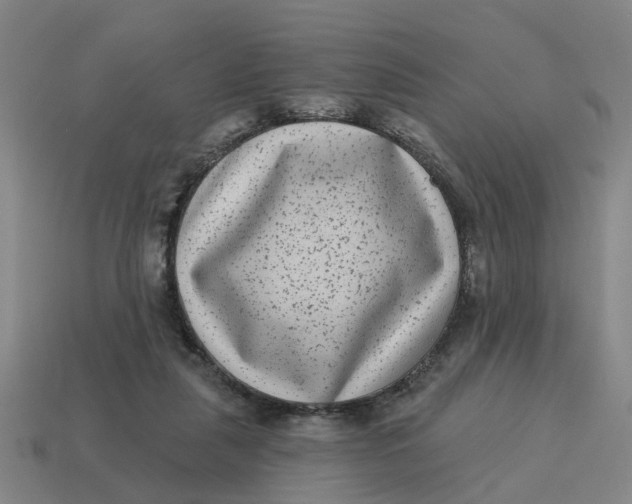 X0000114440259200911061710