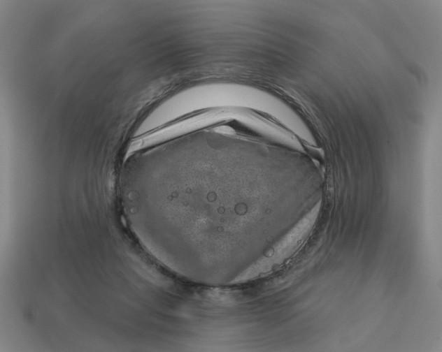 X0000114440261200911061710