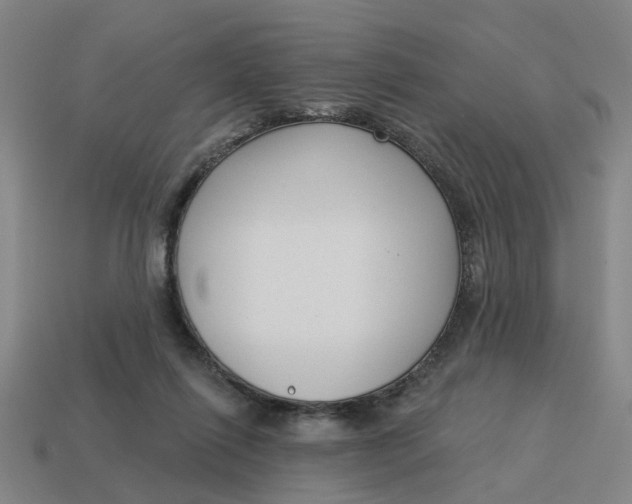 X0000114440262200911061710