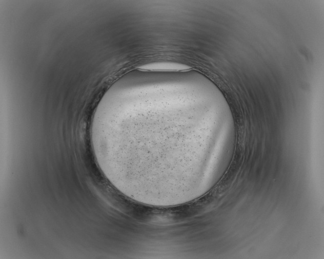 X0000114440263200911061710