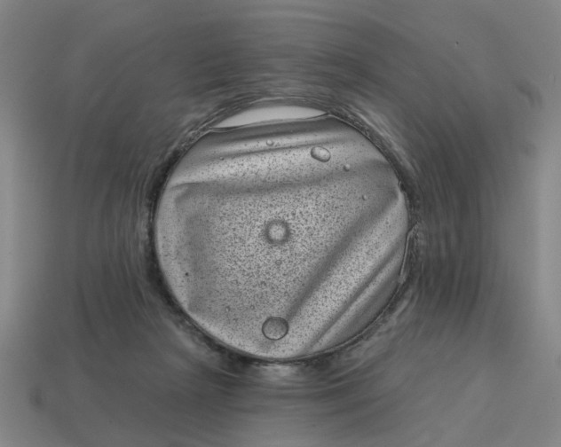 X0000114440265200911061710