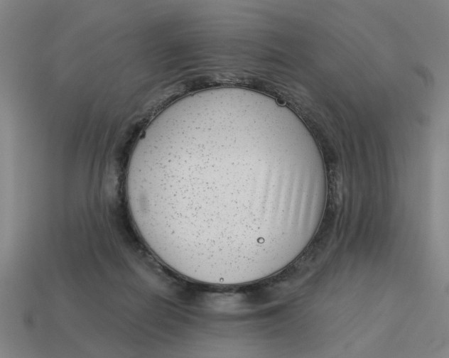 X0000114440266200911061710