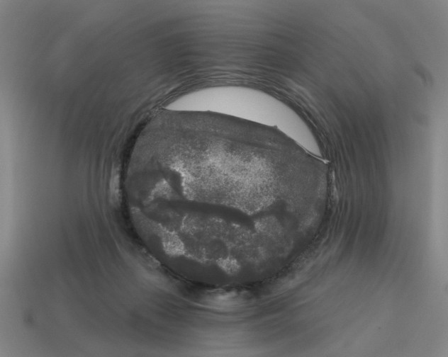 X0000114440267200911061710