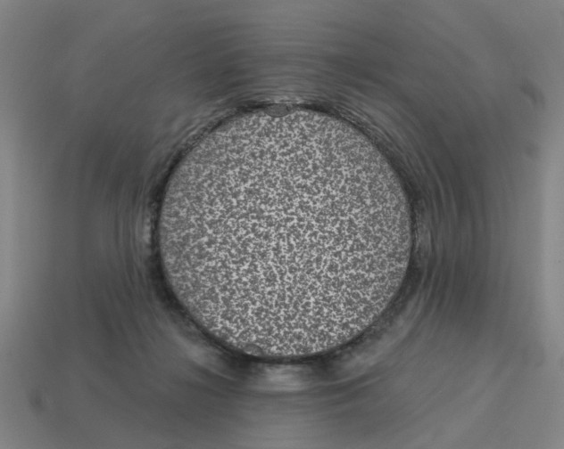 X0000114440268200911061710