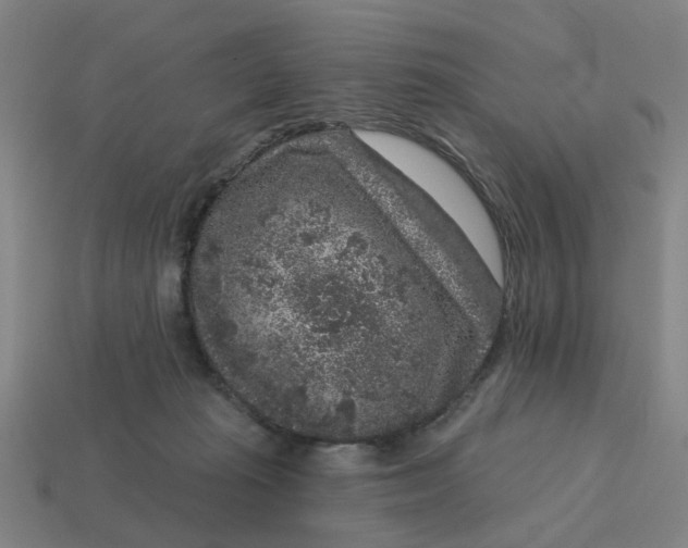 X0000114440269200911061710