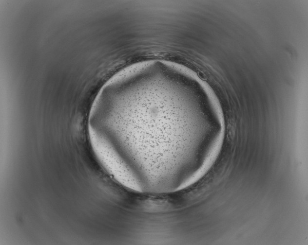 X0000114440270200911061710