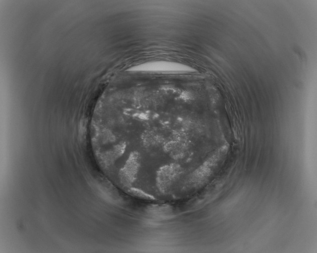 X0000114440271200911061710