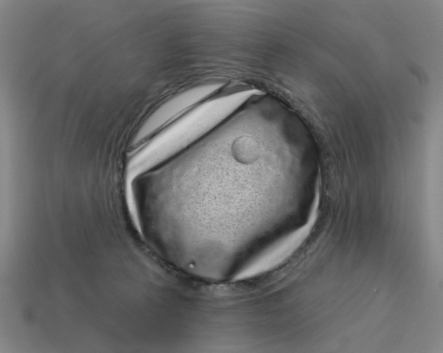 X0000114440273200911061710