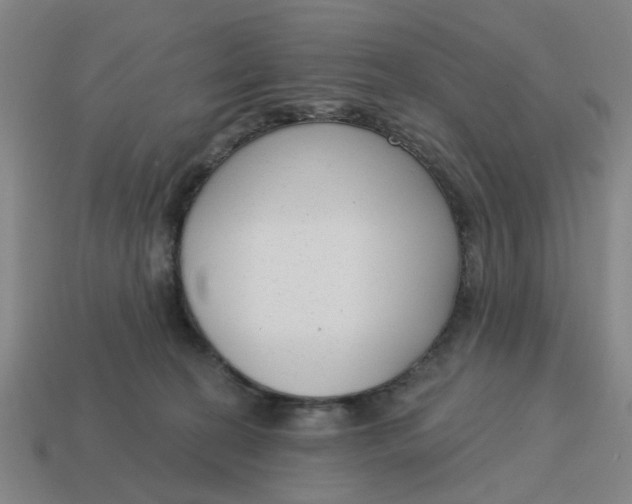 X0000114440274200911061710